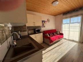 Grand studio/cabine lumineux, proche commerces et pistes - FR-1-295-193 Les Angles